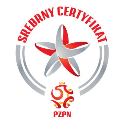 Certyfikat_-_logotyp_srebrny (1)